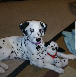 Meet your Posher, Treena